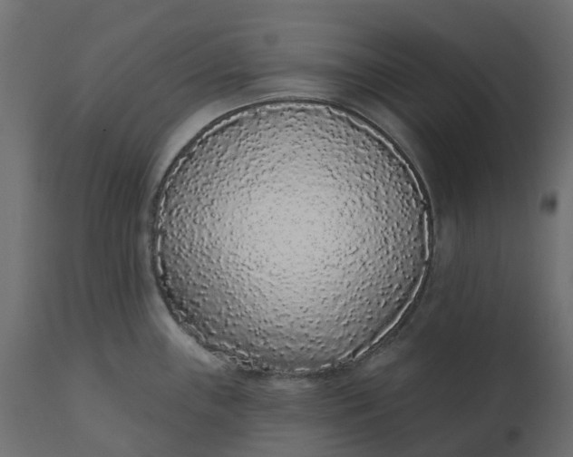 X0000110721243200906261448