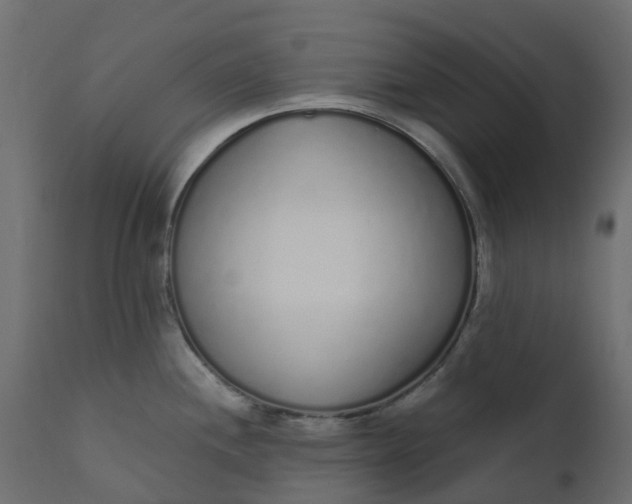 X0000110721244200906261448