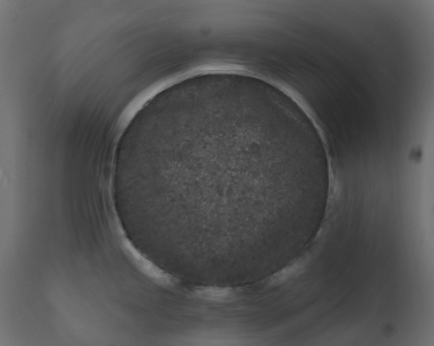 X0000110721245200906261448