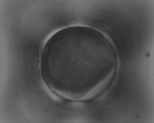 X0000110721246200906261448