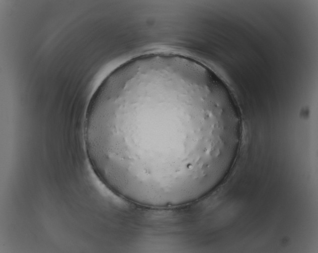 X0000110721247200906261448