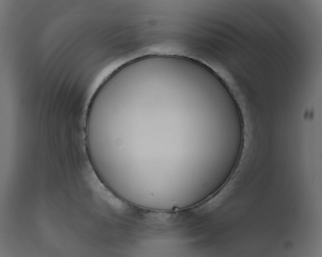 X0000110721248200906261448