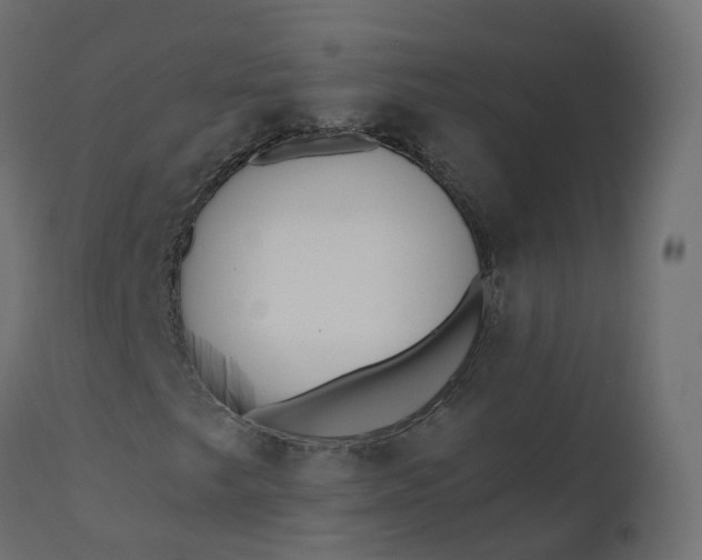 X0000110721249200906261447