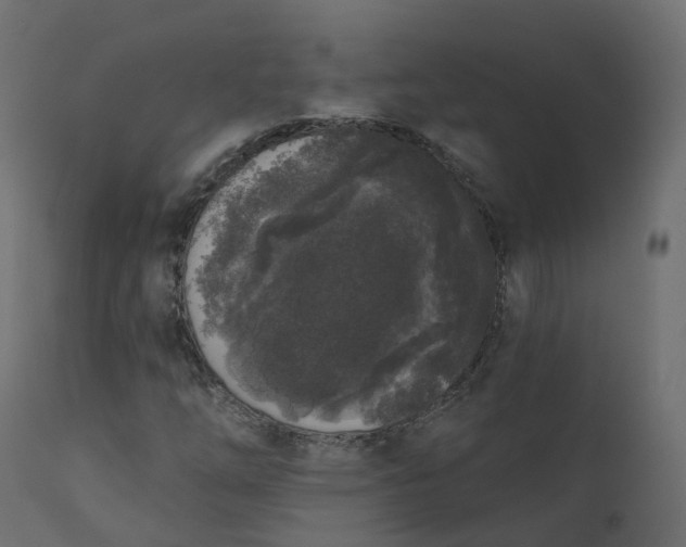 X0000110721254200906261447