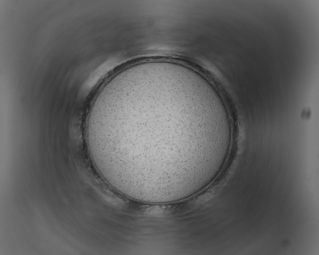 X0000110721259200906261447