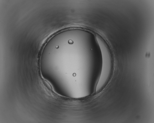 X0000110721260200906261447