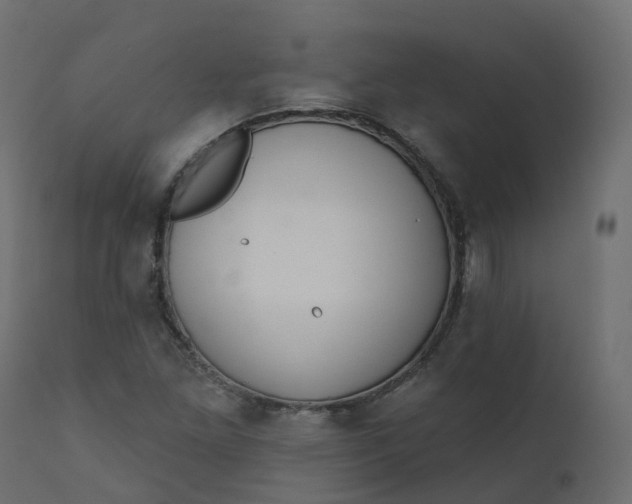 X0000110721261200906261447