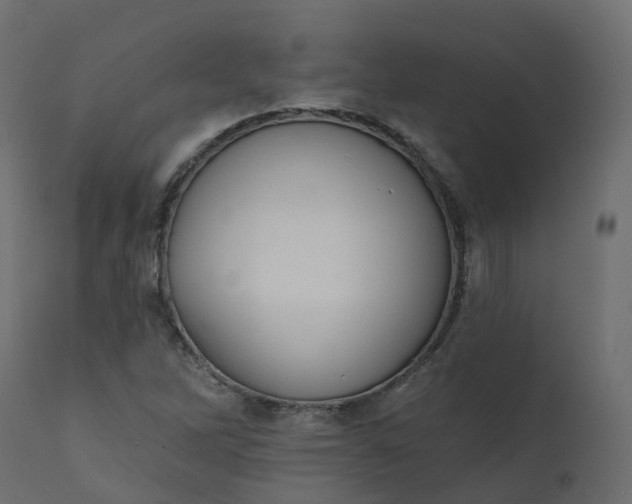 X0000110721262200906261447