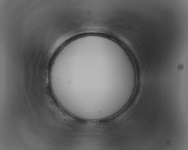 X0000110721267200906261447