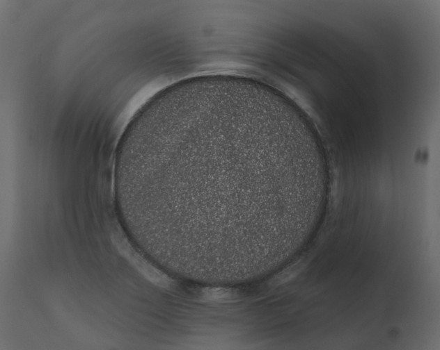 X0000110721275200906261447