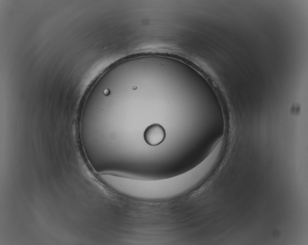 X0000110721277200906261447