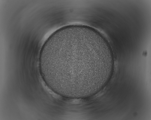 X0000110721279200906261447