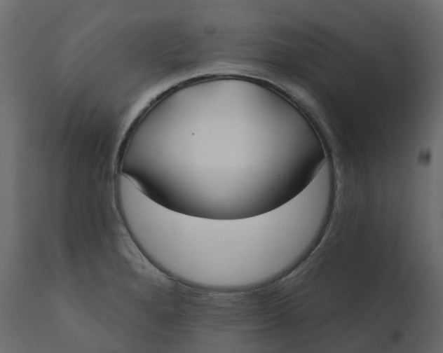 X0000110721280200906261447