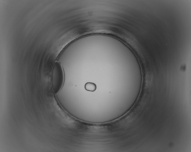 X0000110721281200906261447