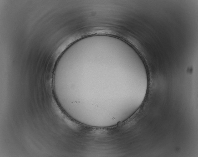 X0000110721282200906261447