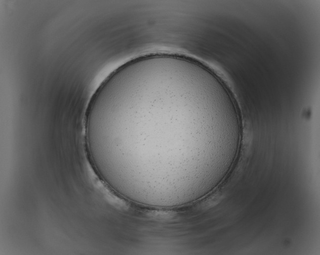 X0000110721287200906261447