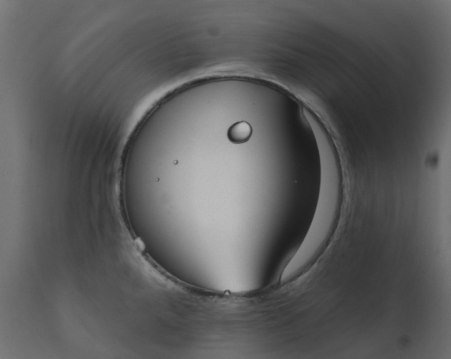 X0000110721288200906261447