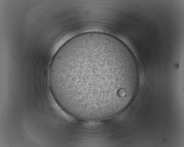 X0000110721290200906261447