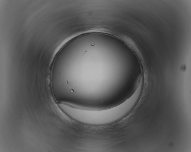 X0000110721292200906261447