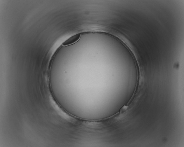 X0000110721293200906261447