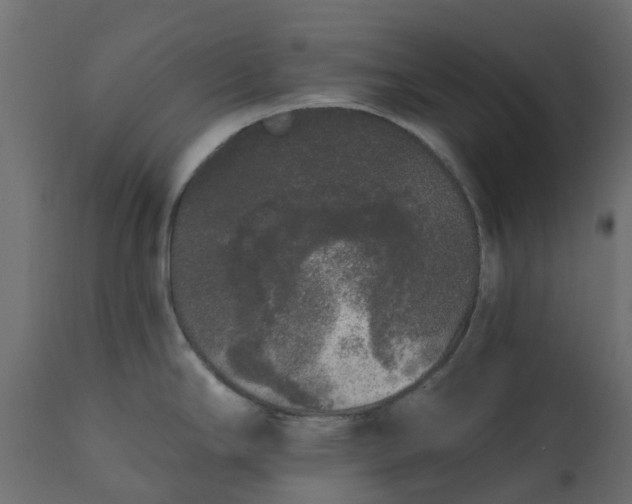 X0000110721294200906261447