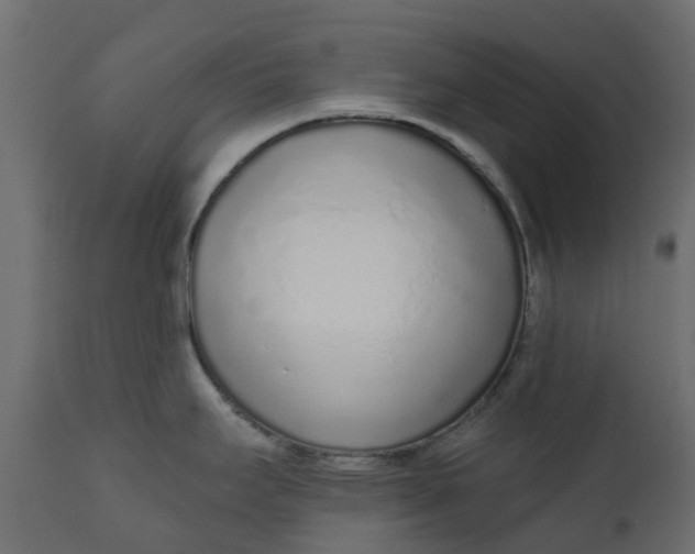 X0000110721295200906261447