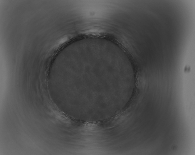 X0000110721297200906261446