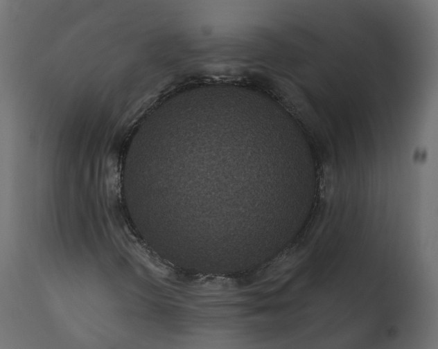 X0000110721298200906261446