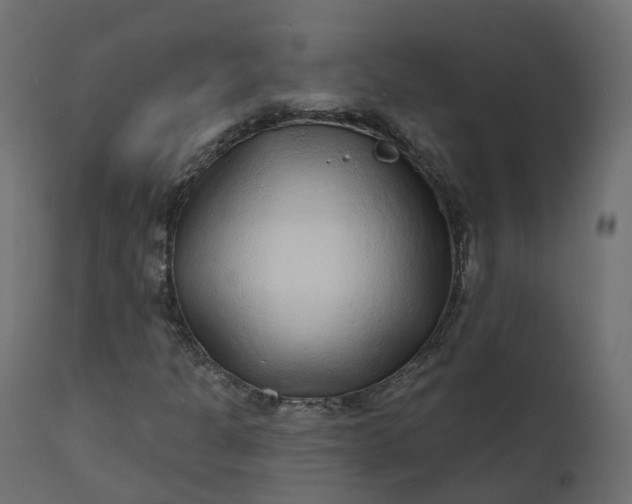 X0000110721301200906261446