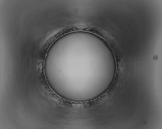 X0000110721302200906261446