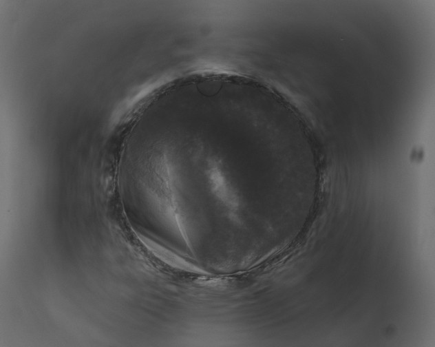 X0000110721303200906261446