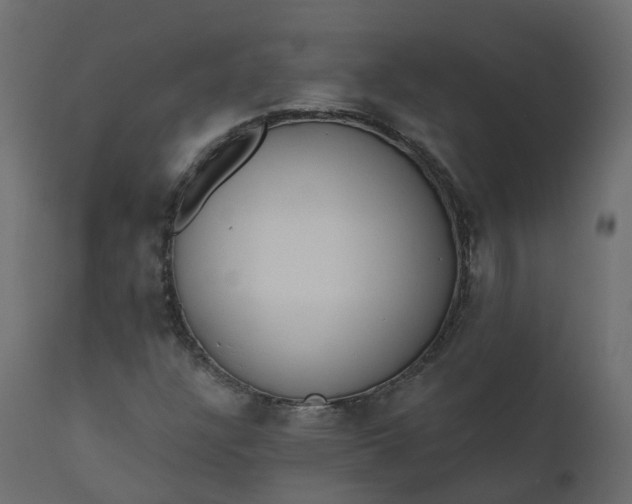X0000110721304200906261446