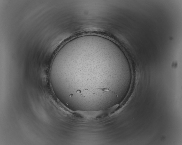 X0000110721305200906261446