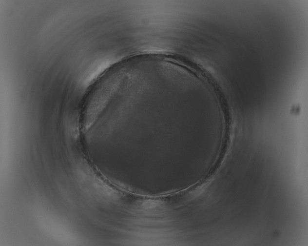 X0000110721306200906261446