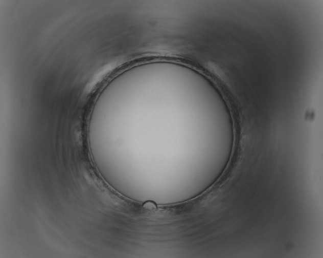 X0000110721307200906261446