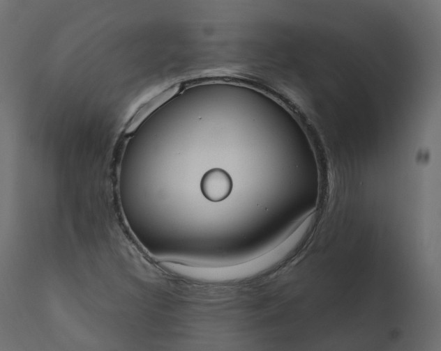 X0000110721308200906261446