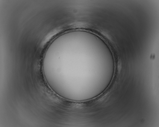 X0000110721309200906261446