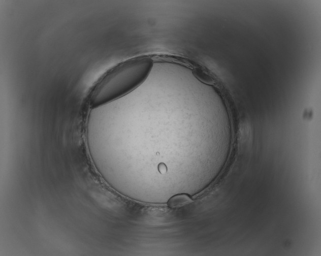 X0000110721310200906261446
