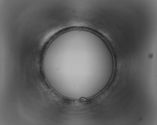 X0000110721311200906261446