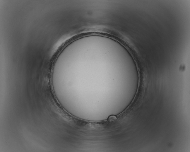 X0000110721312200906261446