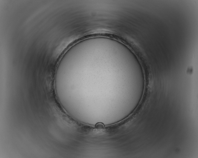 X0000110721313200906261446