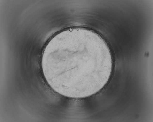 X0000110721314200906261446
