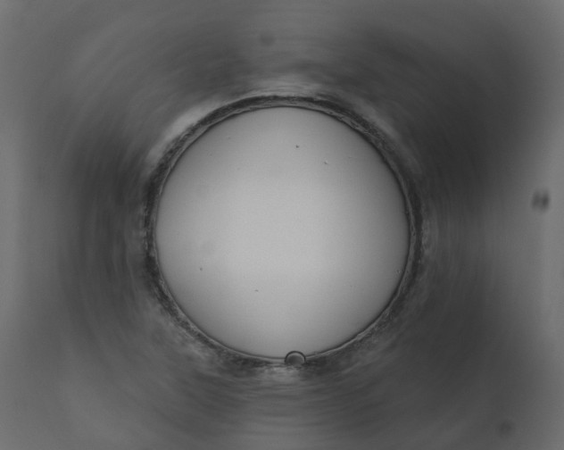 X0000110721315200906261446
