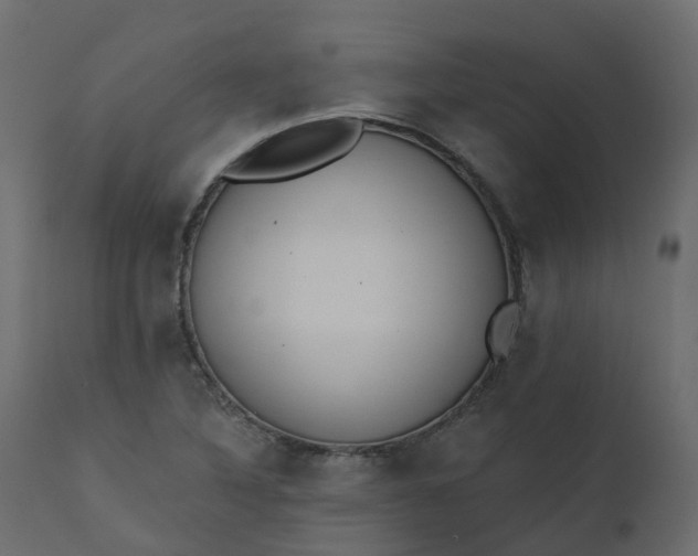 X0000110721316200906261446