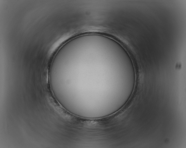 X0000110721317200906261446