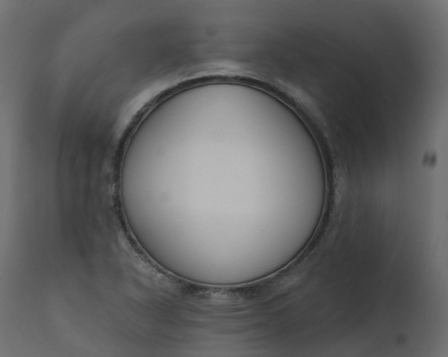 X0000110721318200906261446