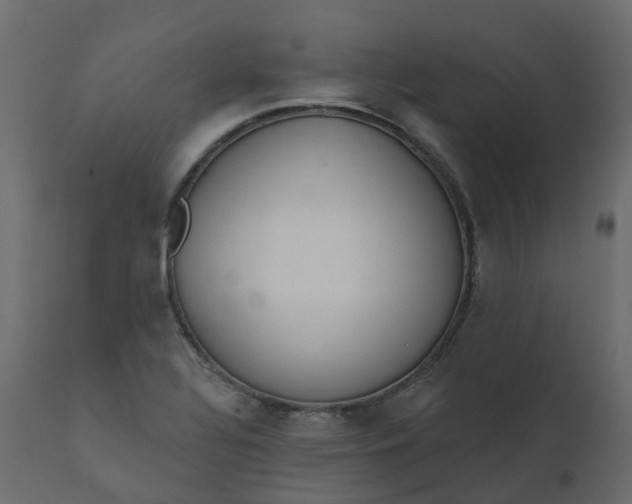 X0000110721320200906261446