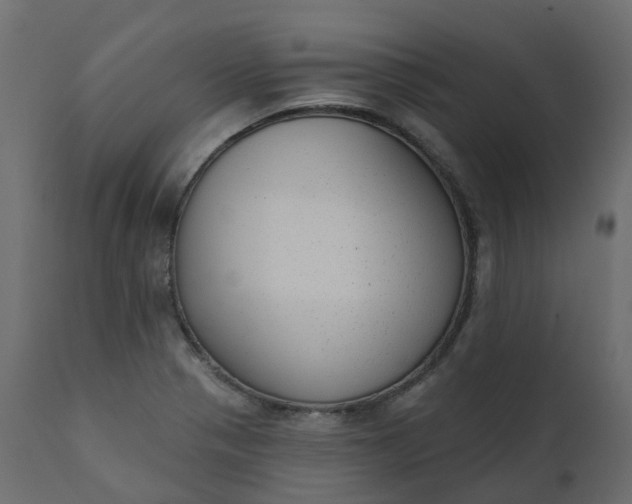 X0000110721321200906261446
