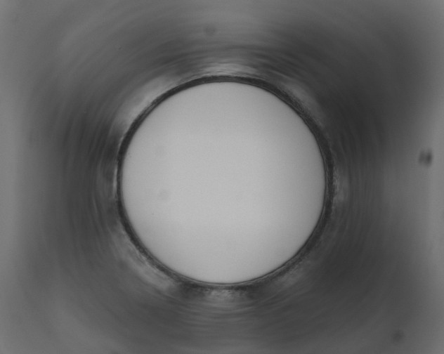 X0000110721322200906261446