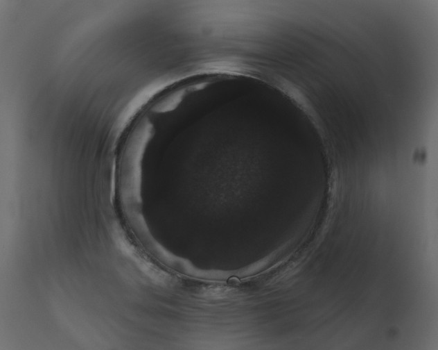 X0000110721323200906261446